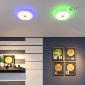 Потолочный светильник SONEX ROKI muzcolor 4629/DL